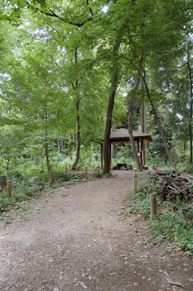 森林公園２